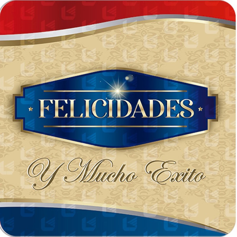 Folder Formal 6x-01 es un folder resistente y con un diseño llamativo Folder Formal 6x-01 es un folder resistente y con un diseño llamativo
